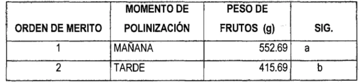 Cuadro 03:  Prueba de Duncan  para Momento de polinización en  peso de fruta en  gramos 