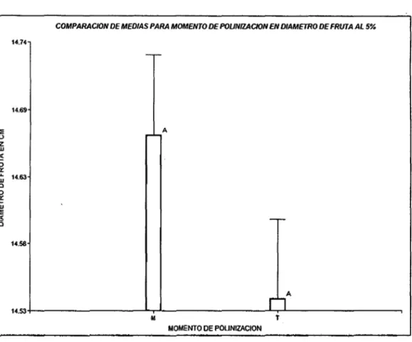 Figura  04:  Diámetro de fruta a la cosecha en centímetros para Momento de  polinización al  5%