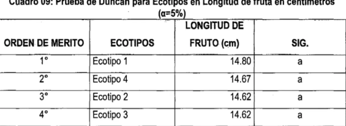 Cuadro 09:  Prueba de Duncan  para  Ecotipos en  Longitud de fruta  en centímetros  (a=5%) 