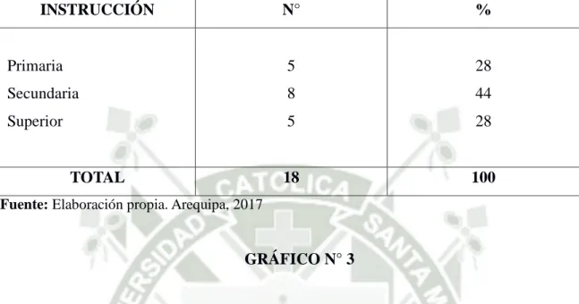 GRÁFICO N° 3 