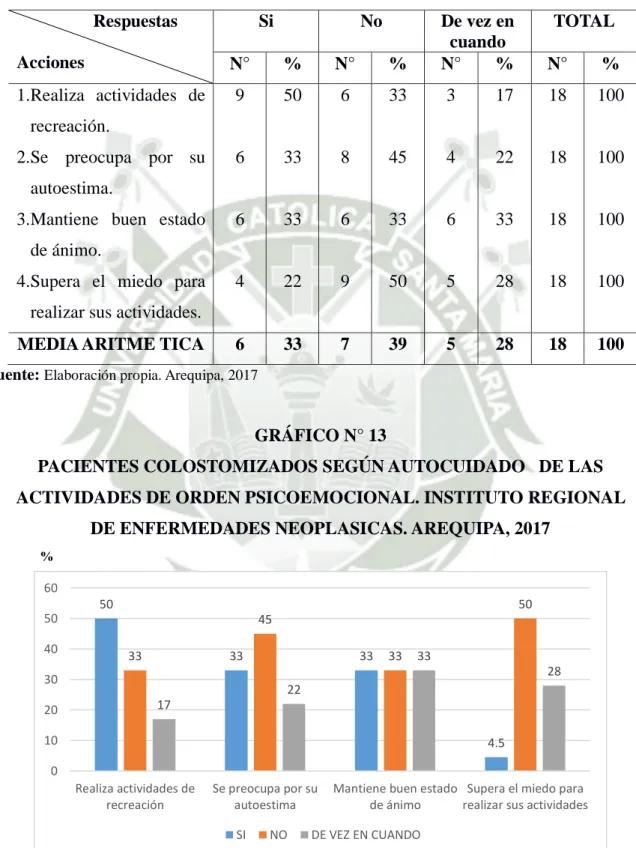 GRÁFICO N° 13 