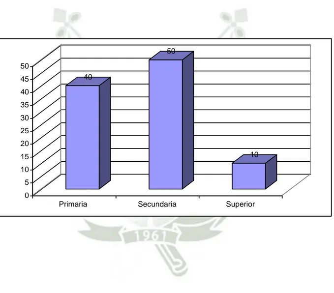 GRÁFICO Nº 4  NIVEL DE INSTRUCCIÓN 