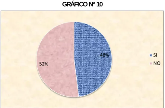 GRÁFICO N° 10 