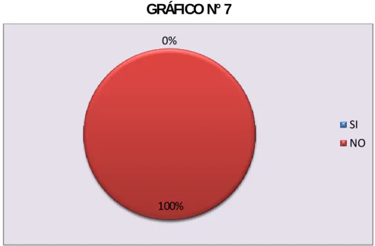 GRÁFICO N° 7 
