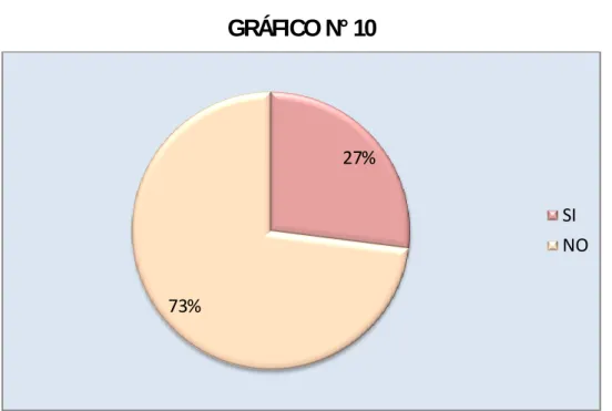 GRÁFICO N° 10 