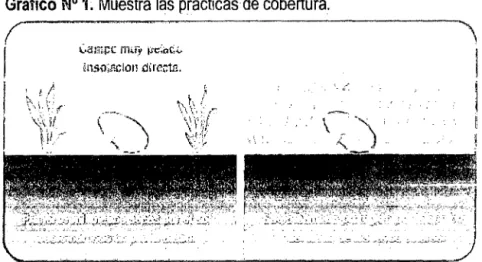 Gráfico N° 1. Muestra las prácticas de cobertura. 