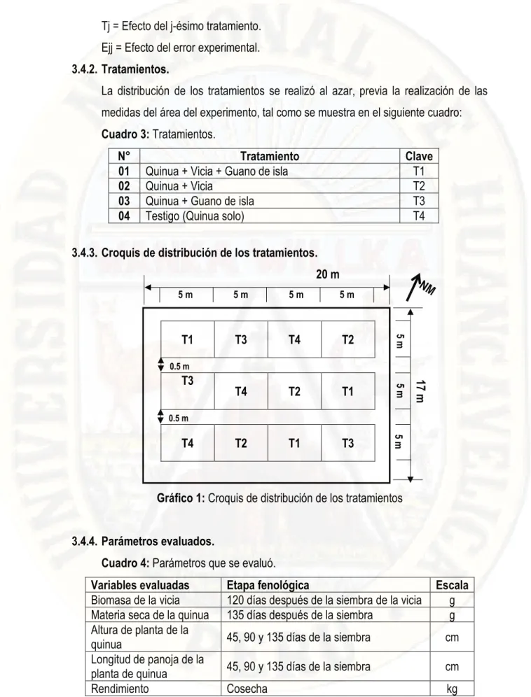 Cuadro 3: Tratamientos. 