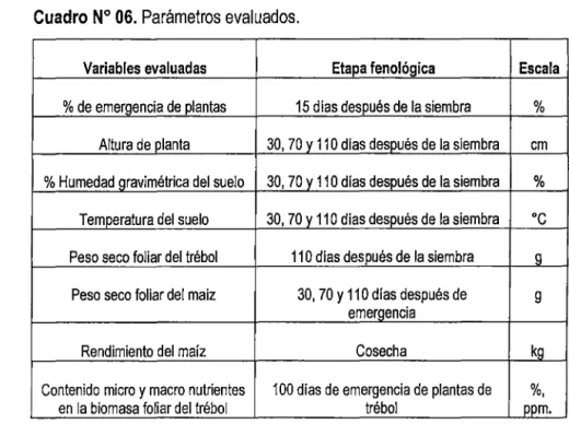 Cuadro N° 06. Parámetros evaluados. 