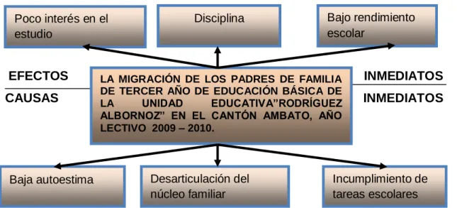 GRÁFICO Nº 1: ÁRBOL DEL PROBLEMA 