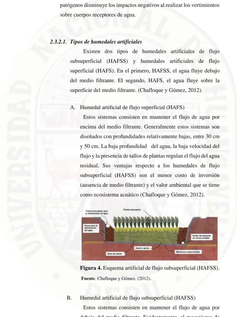 Figura 4. Esquema artificial de flujo subsuperficial (HAFSS). 