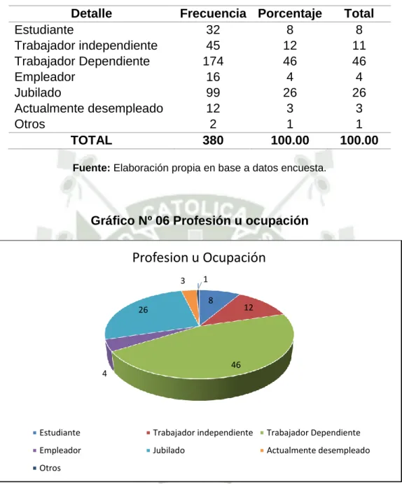 Gráfico Nº 06 Profesión u ocupación 
