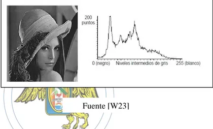 Figura 30: Imagen en niveles de gris de Lena y su correspondiente histograma.