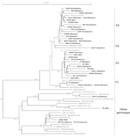 Fig. 1. Phylogenetic analysis of a fragment of 680 nt corresponding to the S gen of 38 isolates of HBV