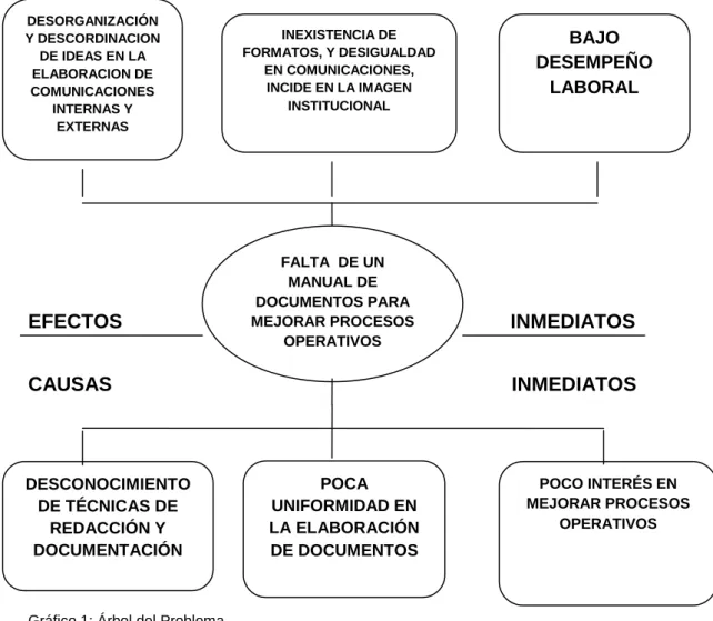 Gráfico 1: Árbol del Problema 