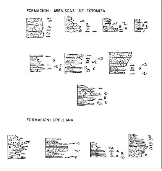 Figura 2.1. Facies y asociaciones de facies en las formaciones del Precámbrico.