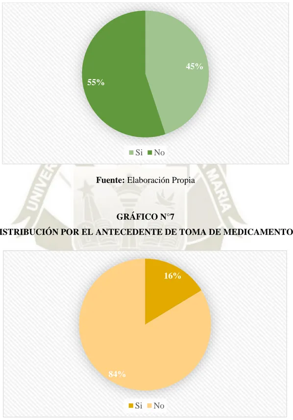 GRÁFICO N°6 