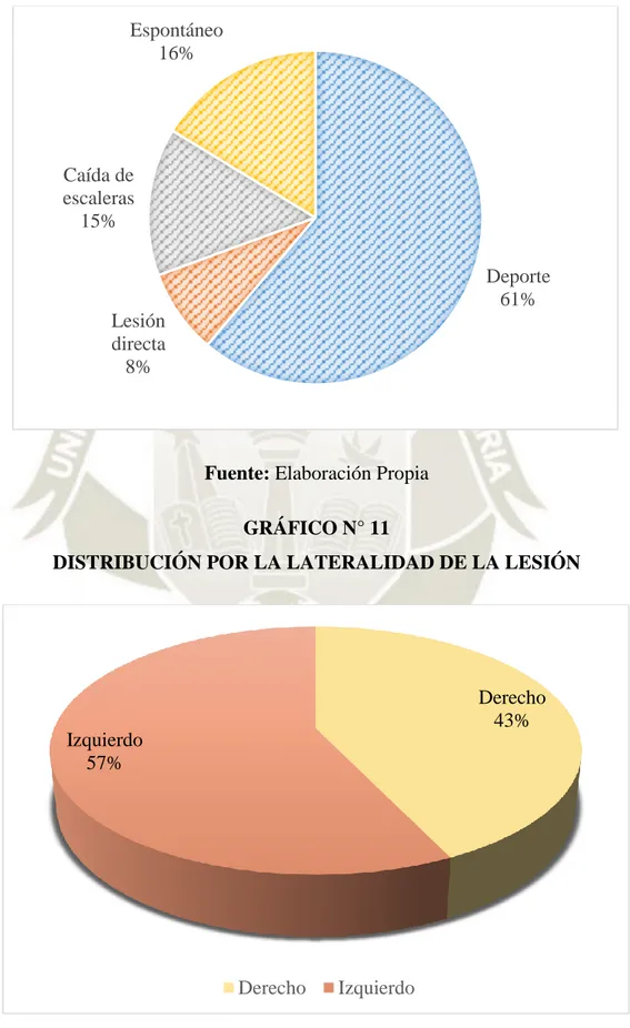 GRÁFICO N° 10 