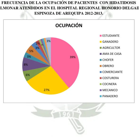 GRÁFICO 5 