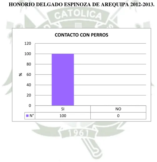 GRÁFICO 6 