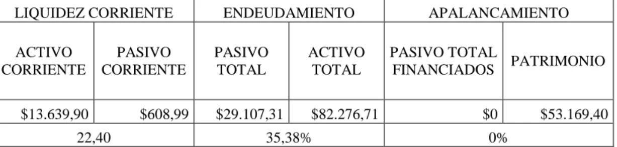 Tabla 16 Indicadores Proalisan 