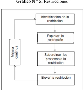 Gráfico N ° 5: Restricciones 