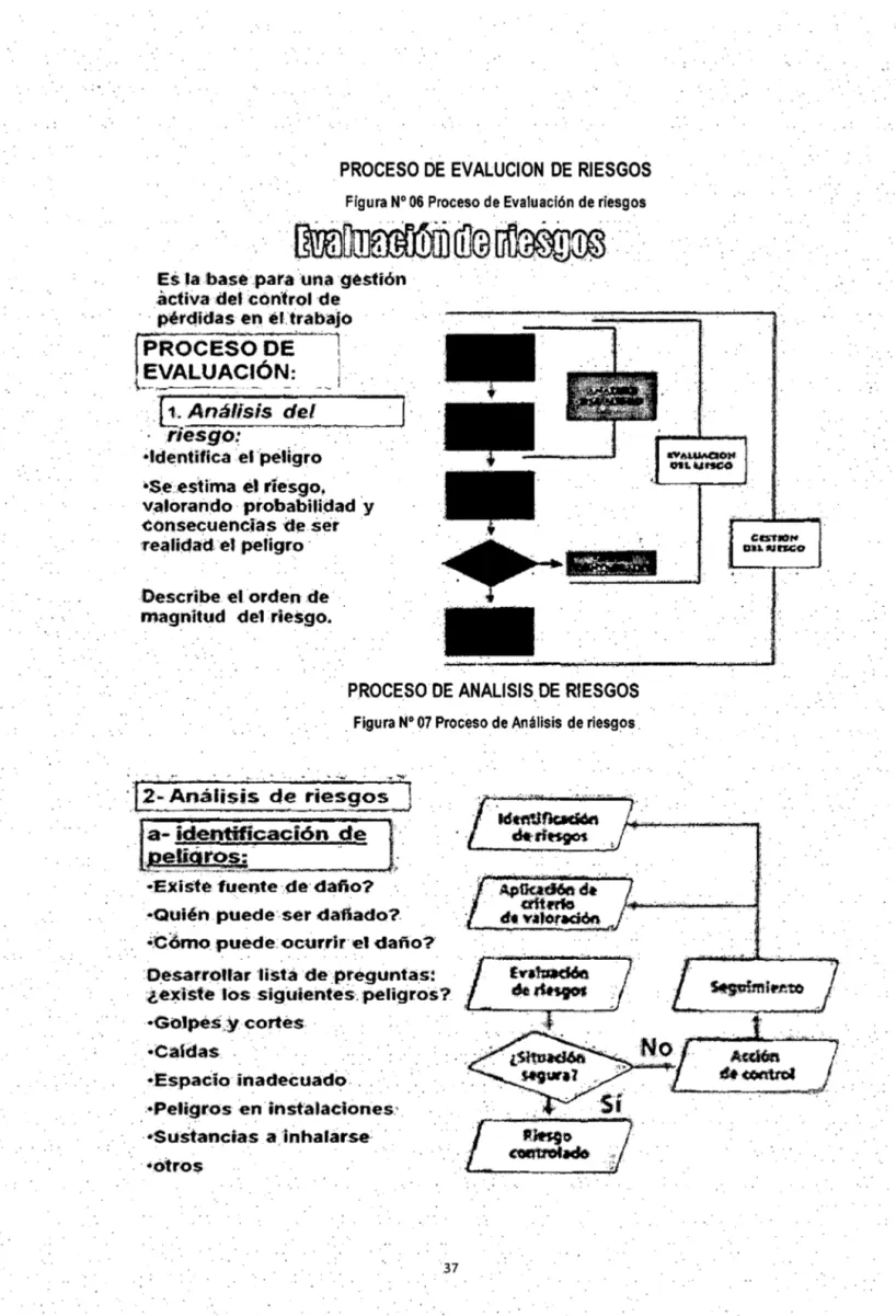 Figura N° 06 Proceso de Evaluación de riesgos 