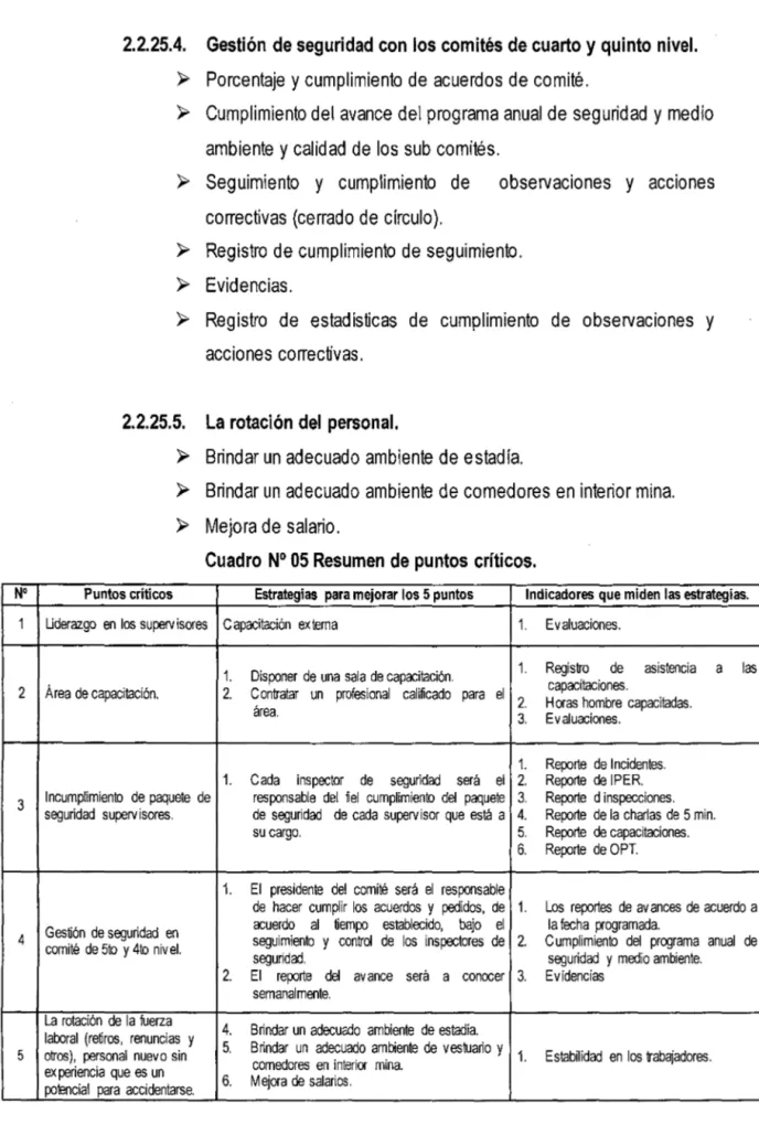 Cuadro  N° 05 Resumen  de puntos  críticos. 