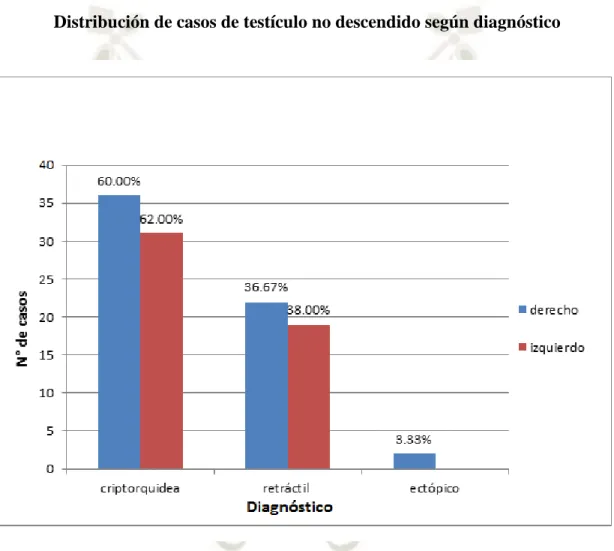 Gráfico 5 