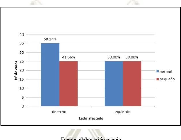 Gráfico 7  