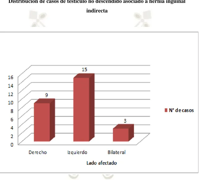 Gráfico 9 