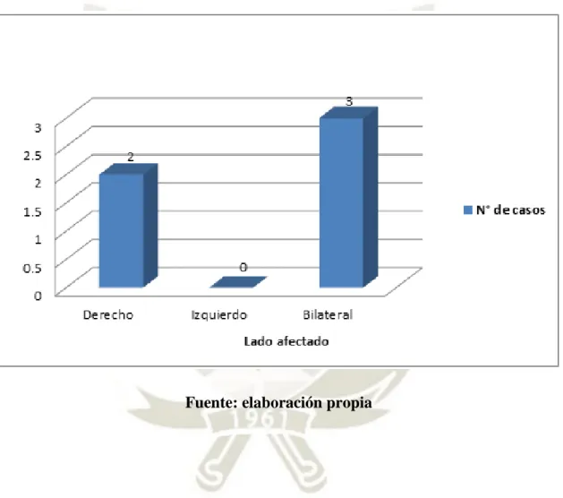 Gráfico 10  
