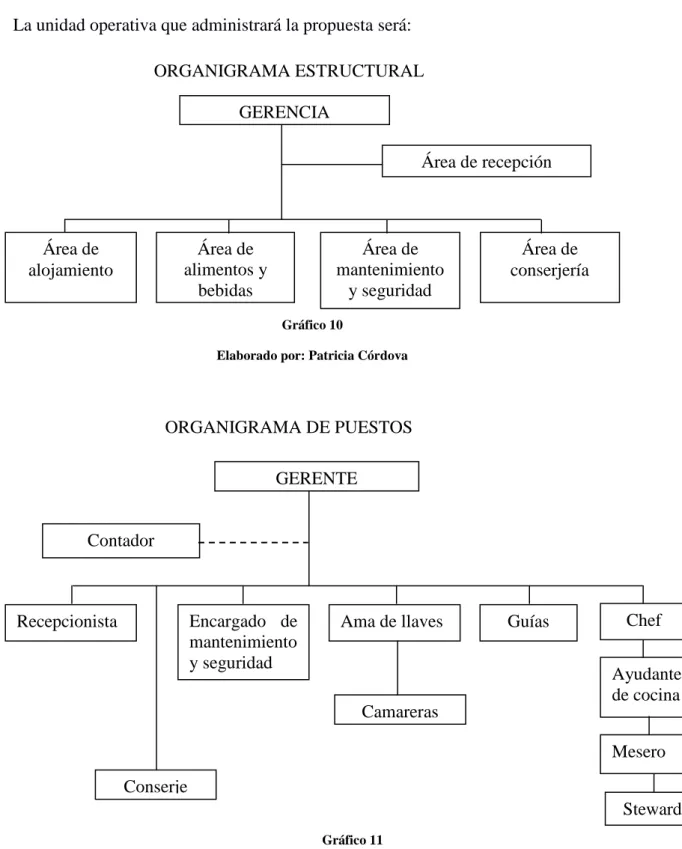 Gráfico 11 