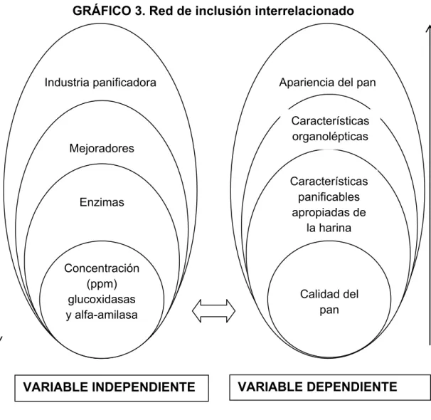 GRÁFICO 3. Red de inclusión interrelacionado 