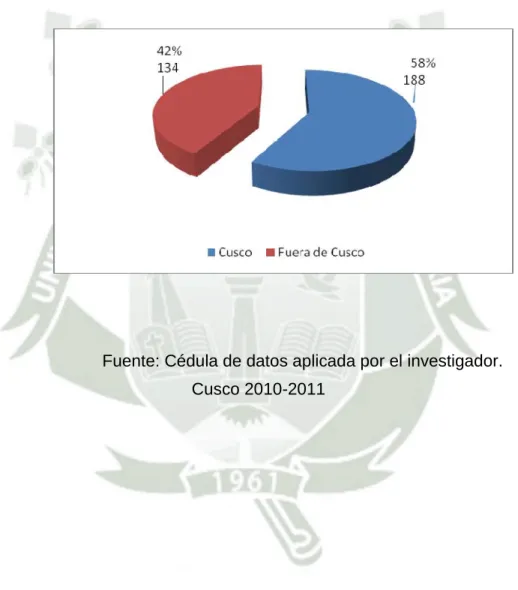 GRÁFICO Nº 19 