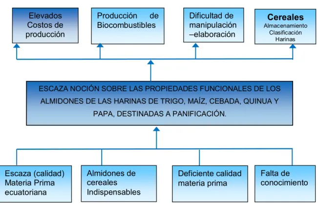 Gráfico 3. Árbol de problemas 