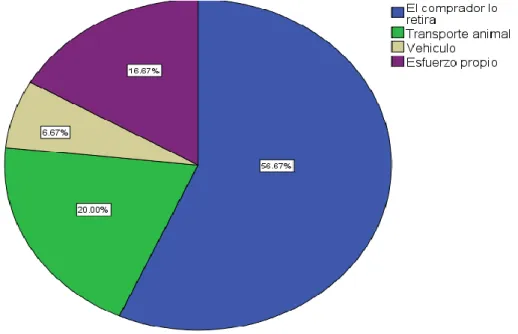 Gráfico 37: Forma de transporte la leche a su punto de venta  Fuente: Software SPSS V.23 