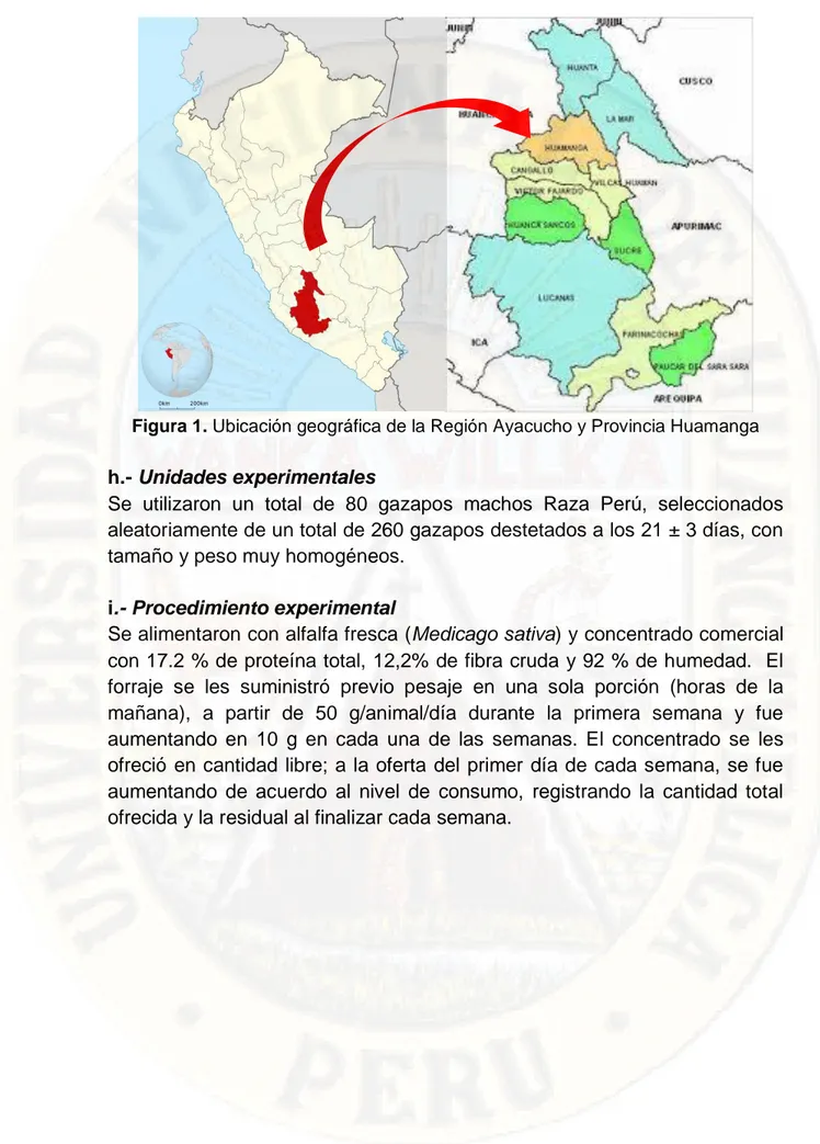 Figura 1. Ubicación geográfica de la Región Ayacucho y Provincia Huamanga  h.- Unidades experimentales 