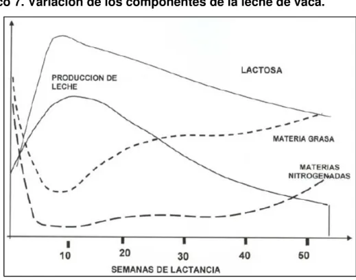 Gráfico 7. Variación de los componentes de la leche de vaca. 