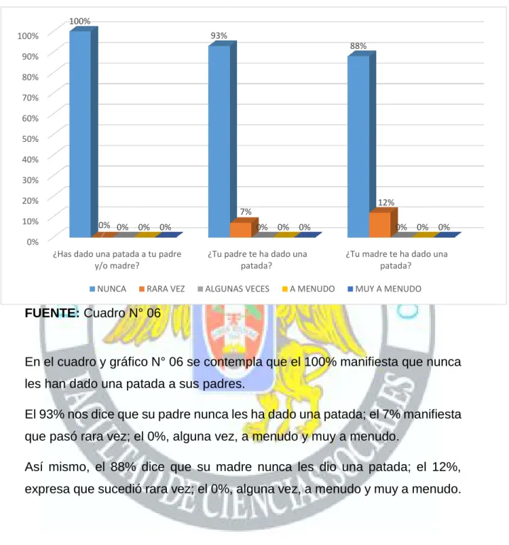 GRÁFICO N° 06 