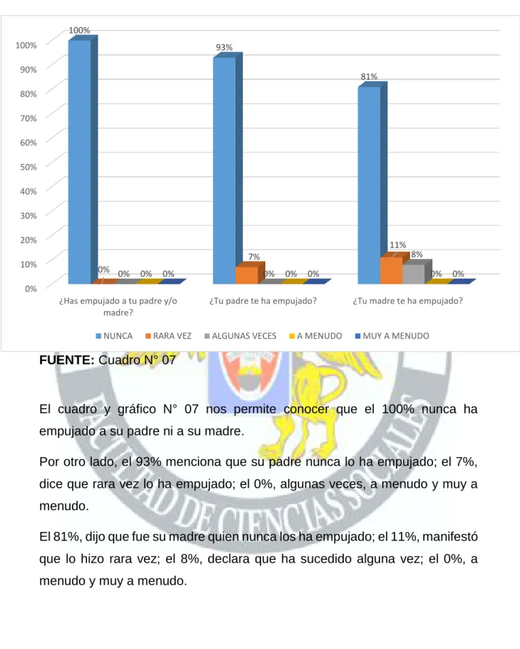 GRÁFICO N° 07 