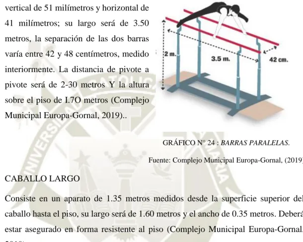 GRÁFICO N° 24 : BARRAS PARALELAS. 