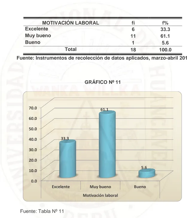 GRÁFICO Nº 11 