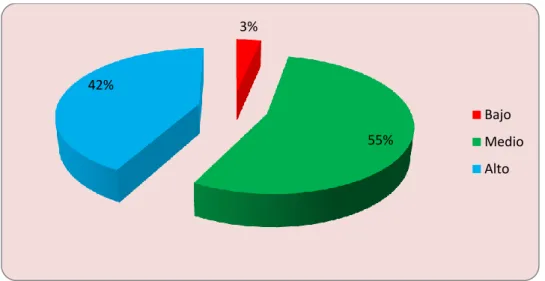 GRÁFICO N° 01 