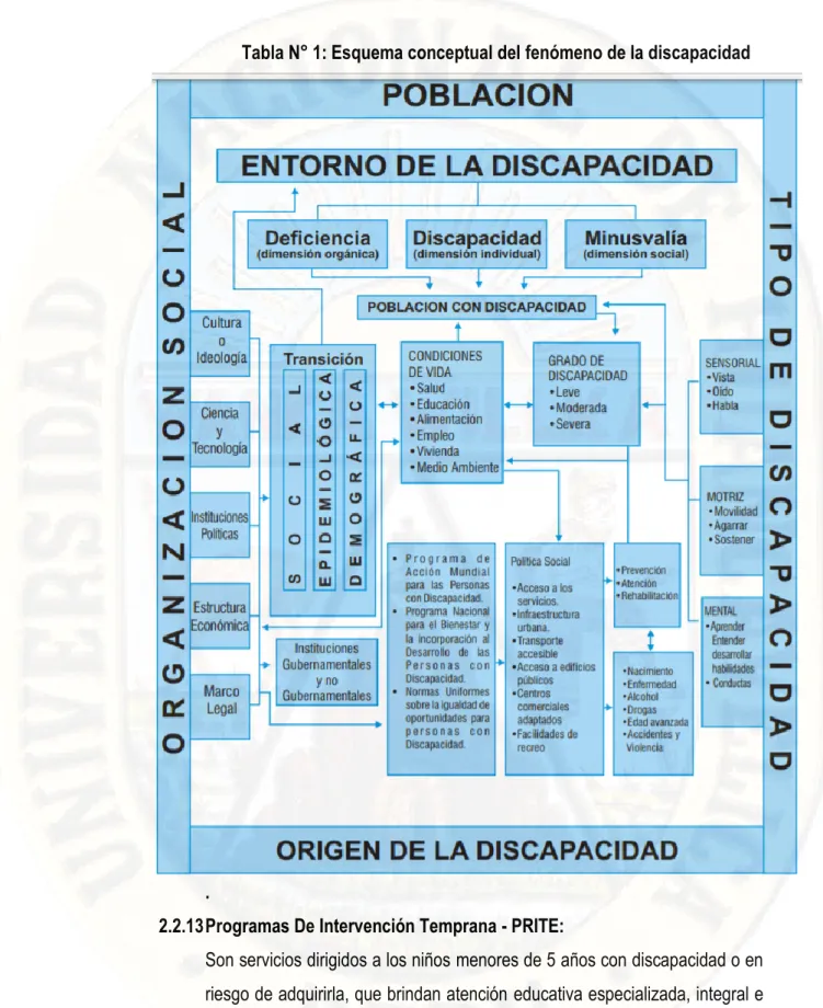 Tabla N° 1: Esquema conceptual del fenómeno de la discapacidad 
