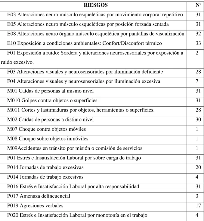 Tabla N° 9 Principales Riesgos  