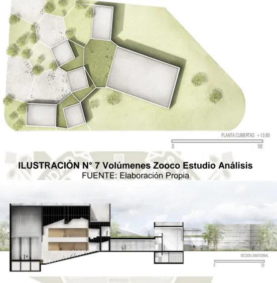 ILUSTRACIÓN N° 8 Corte Zooco Estudio Análisis  FUENTE: Elaboración Propia 