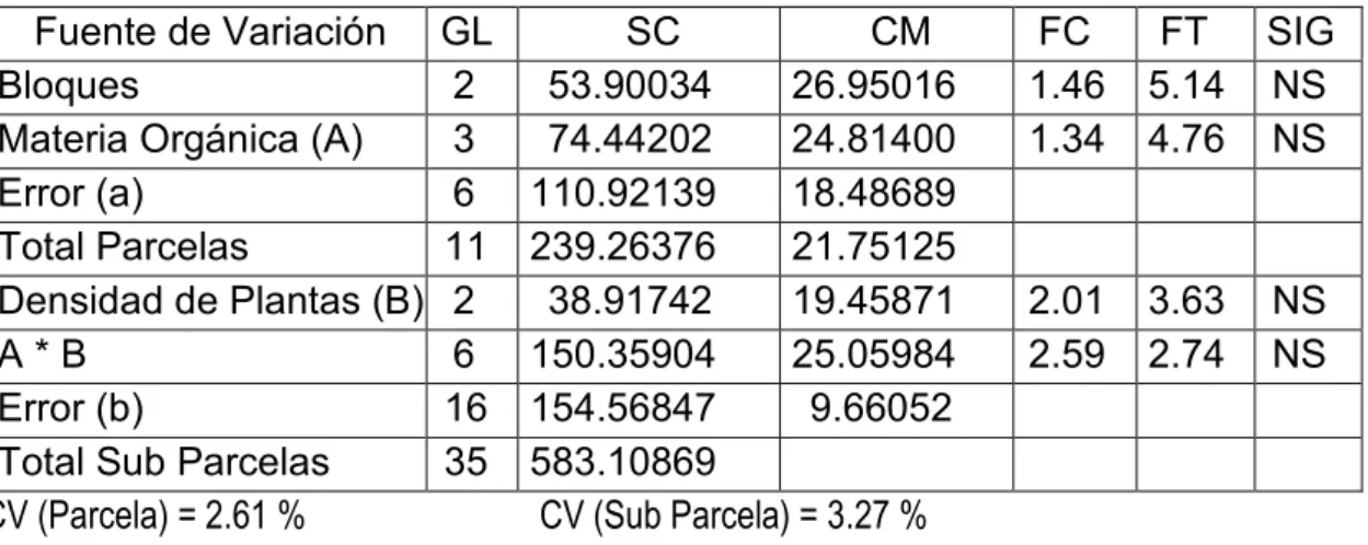 Cuadro N° 1: Análisis de variancia del prendimiento de plantas de cebolla por efecto  de cuatro fuentes de materia orgánica y tres densidades de siembra, en condiciones  del Valle del Mantaro (α = 0.05)  