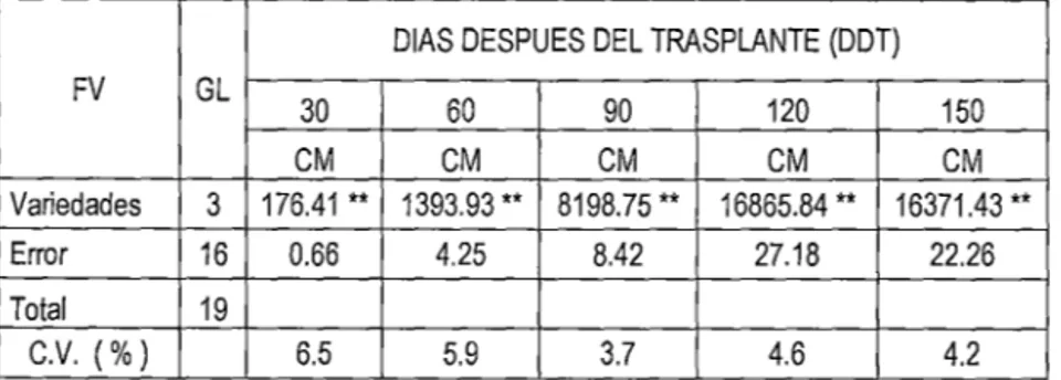 Cuadro  W  1:  Cuadrado  medio  y  nivel  de  significación  estadística  del  ritmo  de  crecimiento  de  plantas  de  cuatro variedades de tomate,  a intervalos de treinta días, al nivel de confianza del  99  %