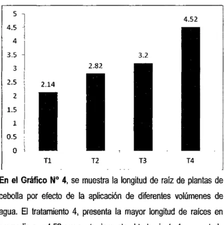 Gráfico  No  4:  Longitud  promedio de  raíz  de  plantas  de  cebolla  (cm)  al  momento  de la cosecha, crecidos con diferentes volúmenes de agua