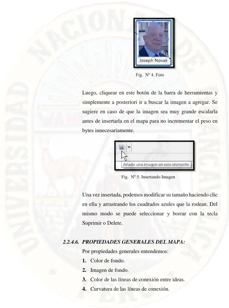 Fig.  Nº 4. Foto 